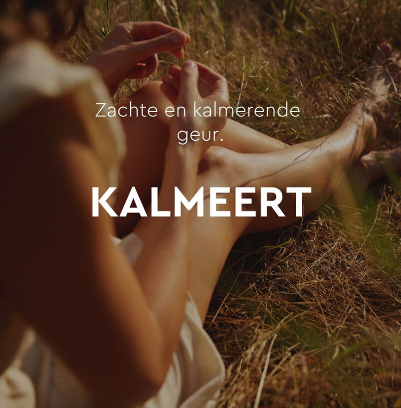 Kalmeert